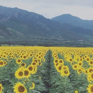 Meet your Posher, Richelle